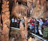 Blue Mountains and Jenolan Caves Motorcoach Day Tour 