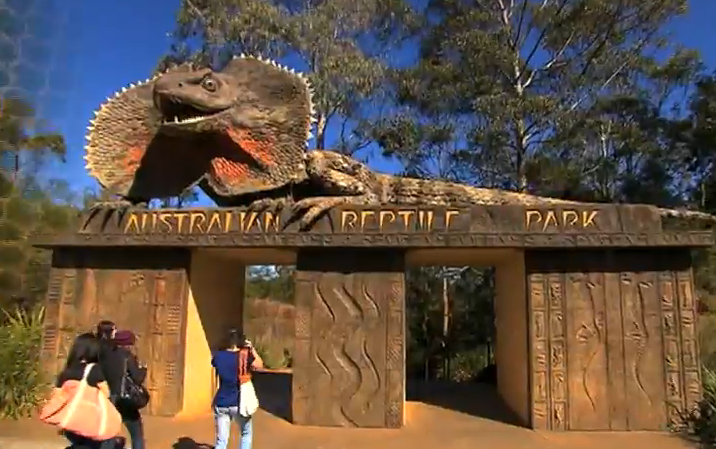 australian reptile park sydney
