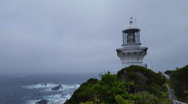 A Glimpse of Beautiful North Coast, New South Wales, Australia (Video