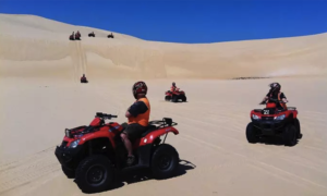 Sand Dune Adventures 2